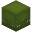 Green Shulker Box