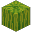 Melon