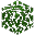 Oak Leaves
