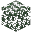 Spruce Leaves