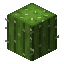 Cactus farm