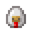 Raw Chicken