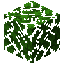 Dark Oak Leaves