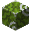 Green Glazed Terracotta