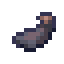 Squid hunting