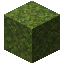 Moss Block