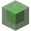 Slime Block